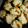 El cooksnap de Mabel Campoya cuando hizo Masa para pizza argentina, pizzas y pizzetas.
