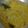 Cooksnap dari Prita Dewi Mariyam untuk resep Tumis Labu Siam With Sweet Corn