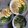 Cooksnap dari Dapur Belly untuk resep Soba Bayam