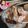 Cooksnap dari Farah Abdullah untuk resep Tiramisu dessert box ekonomis dengan roti tawar