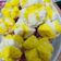 Cooksnap dari Ririe Adjah untuk resep Bolu kukus mekar anti gagal ala BuLan