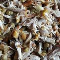 صورة من أم حسنين ، شاركها بعد تجربة وصفة كبسة دجاج بالعسل 🍗انصحكم بتجربتا تجنن اليوم طريقة صوص العسل
