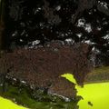 Cooksnap dari inara moms untuk resep Brownies Eggless (Gluten Free)
