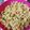 El cooksnap de nelym62 cuando hizo Cous cous con pollo y verduras.