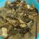 Cooksnap dari Renita Pebriyanti untuk resep Gulai Daung Singkong Teri