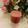 صورة من ♨milk shake، شاركها بعد تجربة وصفة عصير المانجا والخيار