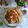 Cooksnap dari Rika Erviana untuk resep Ayam Goreng Wijen