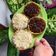 Cooksnap dari Diah Permata untuk resep Martabak Manis Mini - Mudah, Lembut Dan ANTI GAGAL