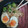 El cooksnap de Amparo&Ari cuando hizo Ramen Rapido.