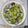 Hsin Chi Wu 的 絲瓜蛤蜊菇 cooksnap
