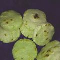 El cooksnap de Laura Sarmiento cuando hizo Arepas venezolanas.