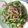 Cooksnap của Trịnh Minh Nguyệt khi họ làm theo món Mướp đắng xào lòng gà 