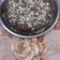 Sonal puri का कुकस्नैप जब उन्होंने चॉकलेट स्पोंज केक (Chocolate spong cake recipe in Hindi) बनाया था।