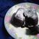 Cooksnap dari yunita widiyani untuk resep Molten Cake Kukus