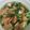 Cooksnap dari Hanina Ara untuk resep Tumis kangkung daging