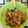 El cooksnap de Alex Alma Ri cuando hizo Ensalada de atún con mango.
