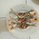 Cooksnap dari Hellen Anastasya untuk resep Ikan kembung goreng kering