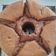 Cooksnap dari andarinidewi untuk resep Chocolate chiffon cake