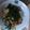 何佳晏 的 韭菜炒甜不辣 cooksnap
