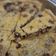 Cooksnap dari Rizka Harahap untuk resep Pie Gurih/ Pie Asin/ Quiche Lorraine