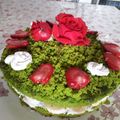 کوک اسنپ محمدی بعد از امتحان کردن کیک اسفناج بدون فر 🌸.