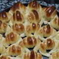 El cooksnap de Laura Gago cuando hizo Medialunas de manteca 🥐🥐.