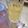 Leah Ellias's cooksnap of when they made Bazinga!.