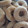 El cooksnap de Estrella Quiroga cuando hizo Rosquitas económicas.