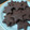 El cooksnap de Aina cuando hizo Galletas de mantequilla y chocolate.