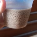 Cooksnap dari Laila A untuk resep Puding Puyo Homemade