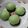 Cooksnap dari Tina untuk resep Bakpao isi kelapa