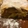 El cooksnap de Marina cuando hizo Apfelstrudel o strudel de manzana con masa casera.