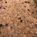 Thomas Guy's cooksnap of when they made No-bake Fruity oatmeal protein bars (V).