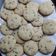 El cooksnap de Marce cuando hizo Galletitas con chips de chocolate 🍫!.