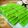 Cooksnap dari Prita Karina untuk resep Pandan butter cake