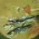 Cooksnap dari Thofa untuk resep Asem2 ikan keting