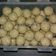 Cooksnap dari 87 untuk resep Bakso tempe