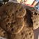 El cooksnap de Camila Gimenez cuando hizo Galletas de chispas de chocolate.