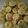 Cooksnap dari Yusi Purmaningsih untuk resep Brownies kering