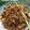 Cooksnap dari paon_made untuk resep Sambal tuna asap