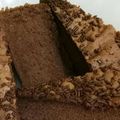 Cooksnap dari Basaria Manullang untuk resep Sponge Cake Chocolate (cake coklat 5 telur)