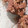 El cooksnap de Veronica Avaca cuando hizo Brownie! Súper fácil y Rico.