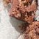 El cooksnap de Veronica Avaca cuando hizo Brownie! Súper fácil y Rico.