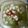 Cooksnap dari Triya Wati untuk resep Sup pokcoy, oyong, wortel, tahu