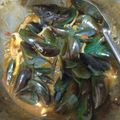 Cooksnap dari andy ariyanto untuk resep Kerang hijau saus padang