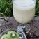 Beena Radia's cooksnap of when they made કીવી મિલ્કશેક (Kiwi Milkshake Recipe In Gujarati).
