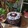 Cooksnap dari mevy marcelia untuk resep 44. Blackforest Cake Panggang