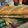 iliagreen8888888887's cooksnap of when they made Dagwood Sandwich.