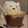 El cooksnap de Hknbbbgu7 cuando hizo Dalkys o pudding de chocolate con nata.
