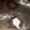 susie63's cooksnap of when they made Creamy Peanut butter Balls.